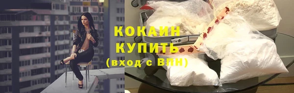 спайс Арсеньев