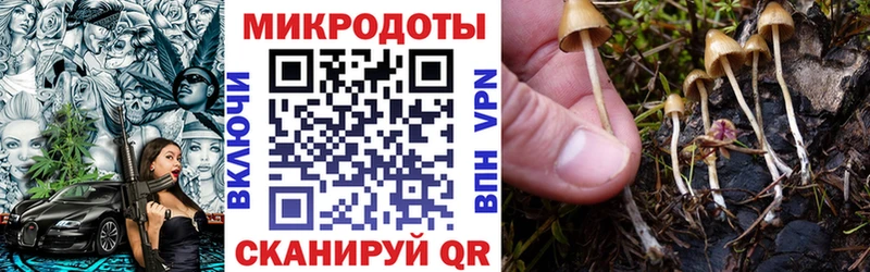 Галлюциногенные грибы Psilocybine cubensis  Мытищи 